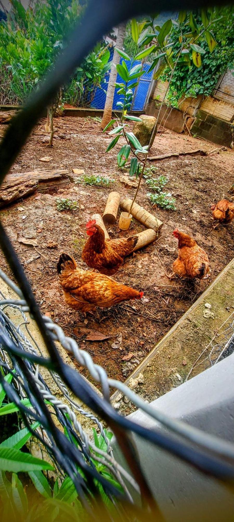 Отель Rancho Acacia Sao Roque Экстерьер фото